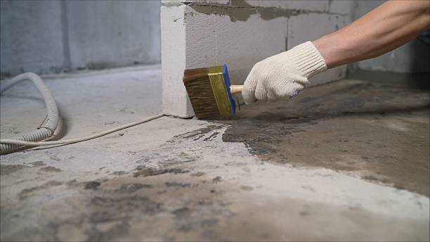 Top rated local Basement Waterproofing specialists in Upperville, VA